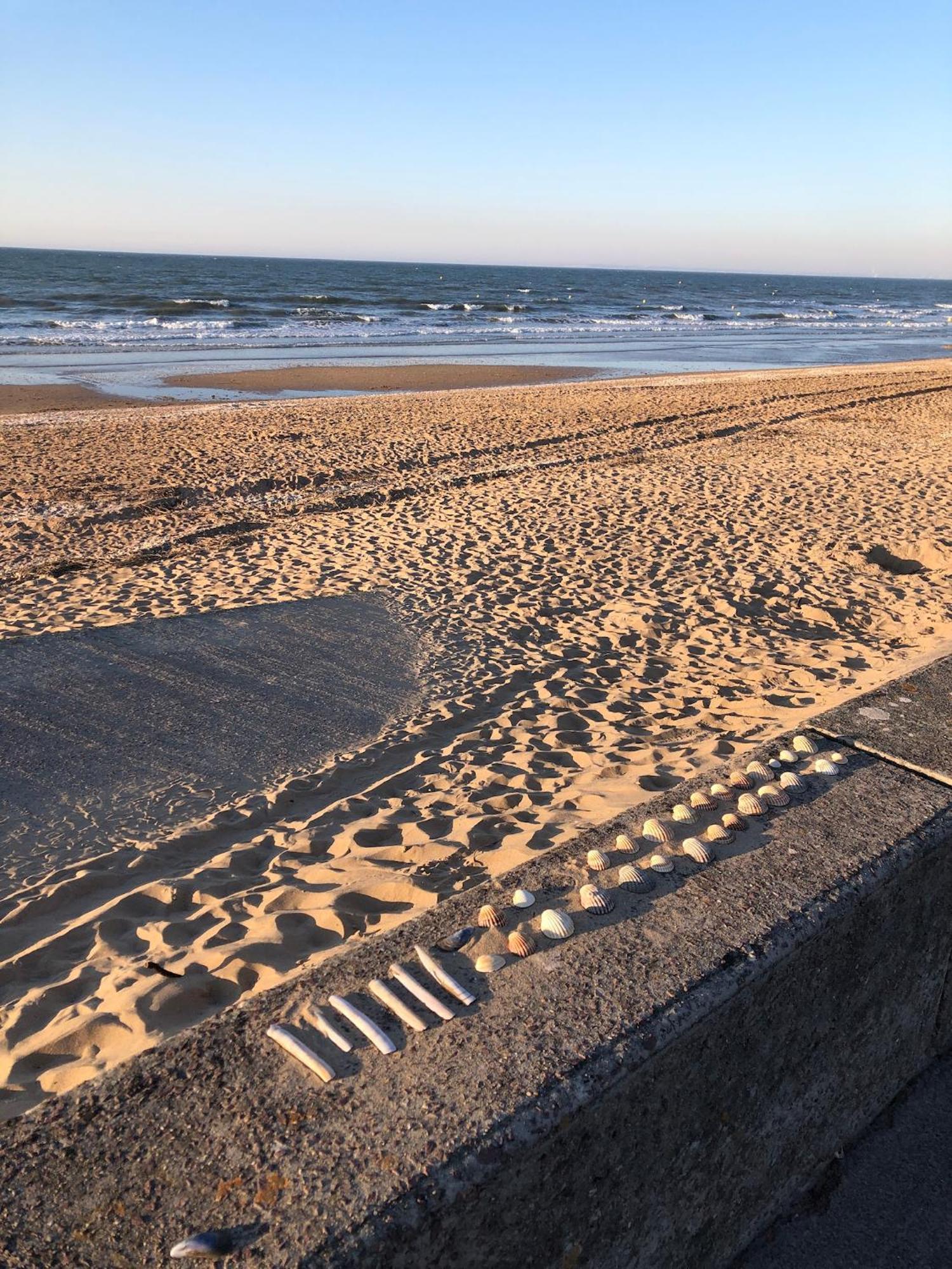 Le Petit Navire - Acces Direct Plage Cabourg Zewnętrze zdjęcie